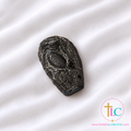 Transformation - Indochinite Tektite
