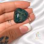 Weight loss Support Apatite Tumblestone